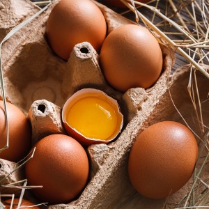 [행복농장] 난각1번 자연방사란 계란 10구