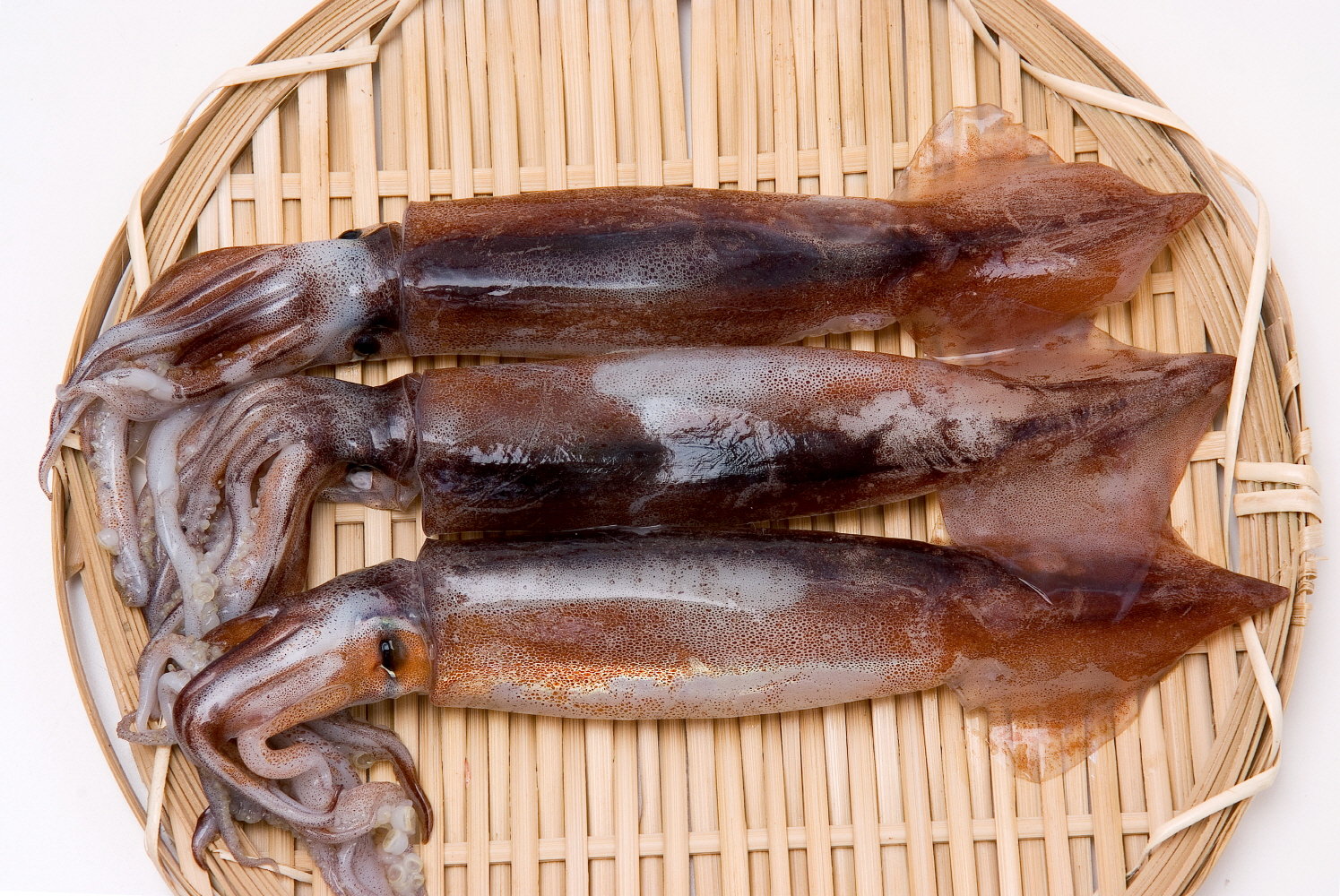 국내산 선동 오징어 특대 1미 (손질)