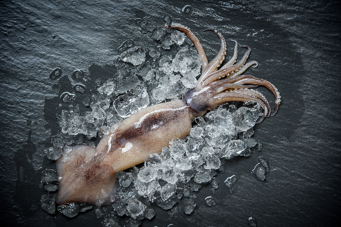 국산 초코 오징어 통찜용 320g(2미)